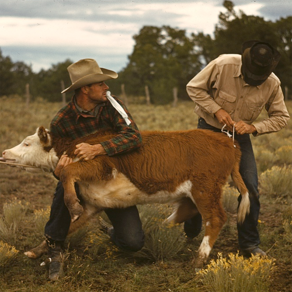 Dos cowboys 1940